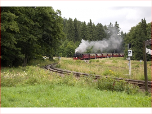 5. int. Harztreffen 2008 - Albumbild 2 von 73